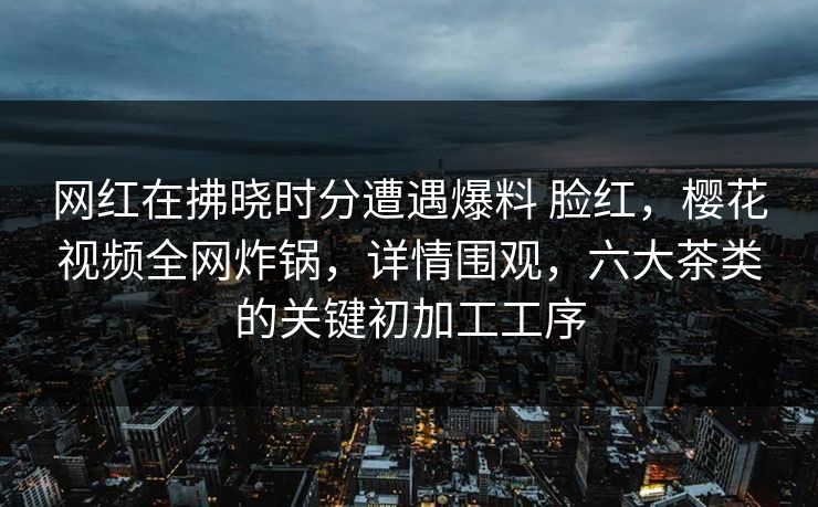 网红在拂晓时分遭遇爆料 脸红，樱花视频全网炸锅，详情围观，六大茶类的关键初加工工序